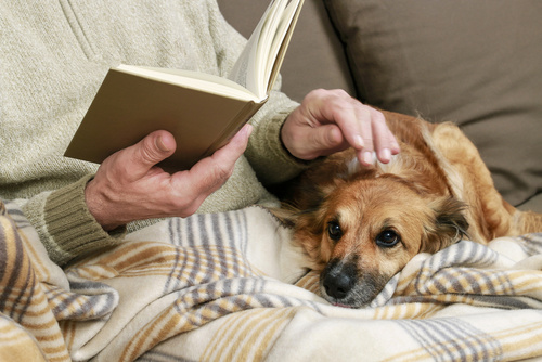 Elderly man petting dog