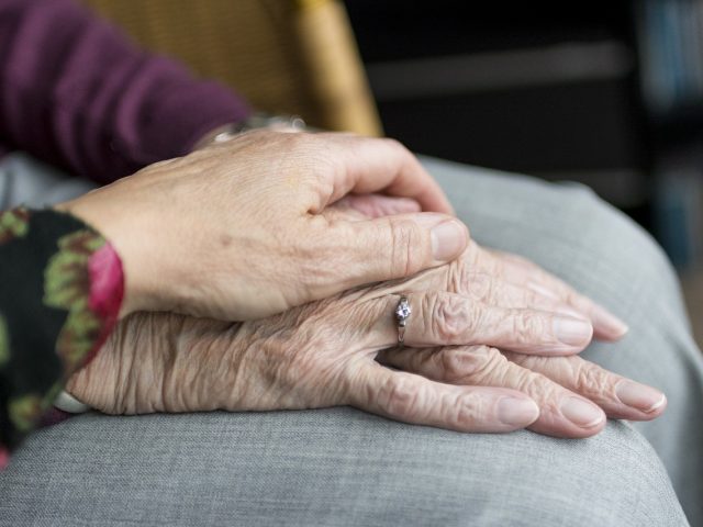 Daughter Holding Fathers Hand