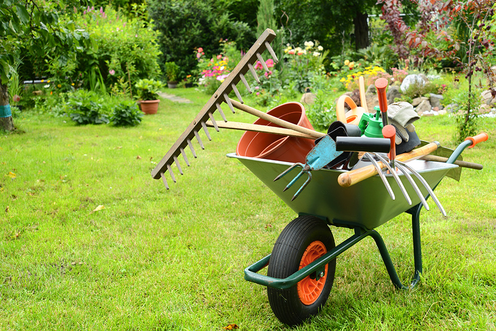 Gardening supplies and wheelbarrow